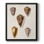 Toile encadrée de qualité supérieure Cone Shell Collection VI - prête à être accrochée-1162769909-1162769908