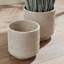 Cache pot en rotin-504313114