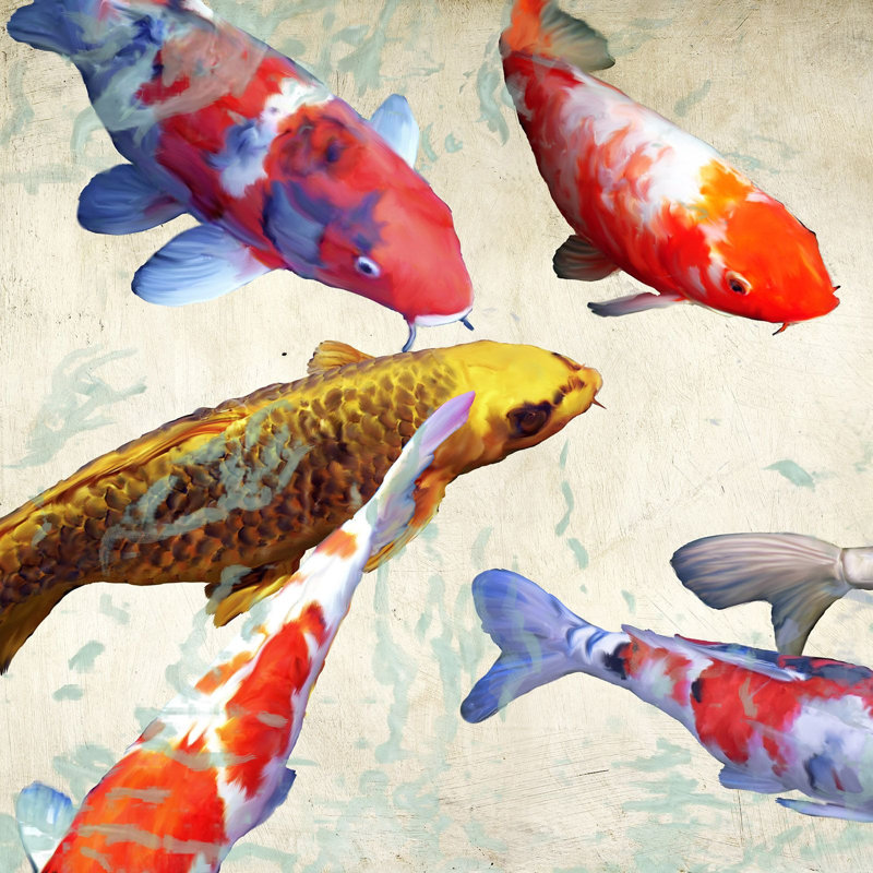 Koi 1 by Teo Rizzardi - Wrapped Canvas Print, 70cm H x 70cm W