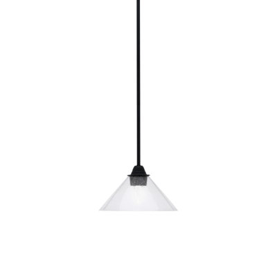 Luminaire suspendu Paramount avec fini noir mat et verre transparent de 10 po
