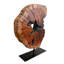Sculpture irrégulière en bois sculpté à la main à partir de racines, sculpture sur pied de table abstraite pour la maison, décoration naturelle, bord de table, souche d'arbre - petit (l 7,75 po x H 11 po)