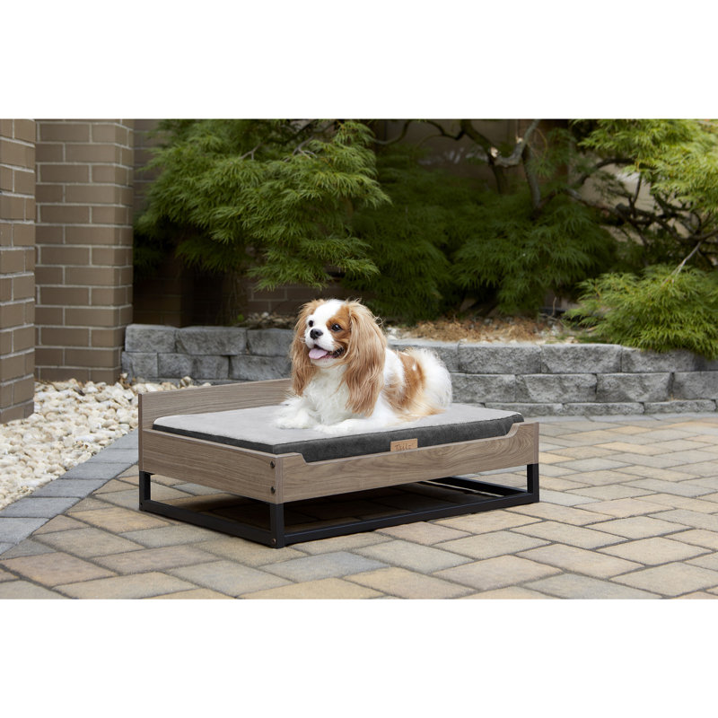 Polyester Pet Bed, Small (30.43" L x 19.4" W x 10" H)