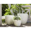 Lucendia Pot Planter-1254170608-1254170610