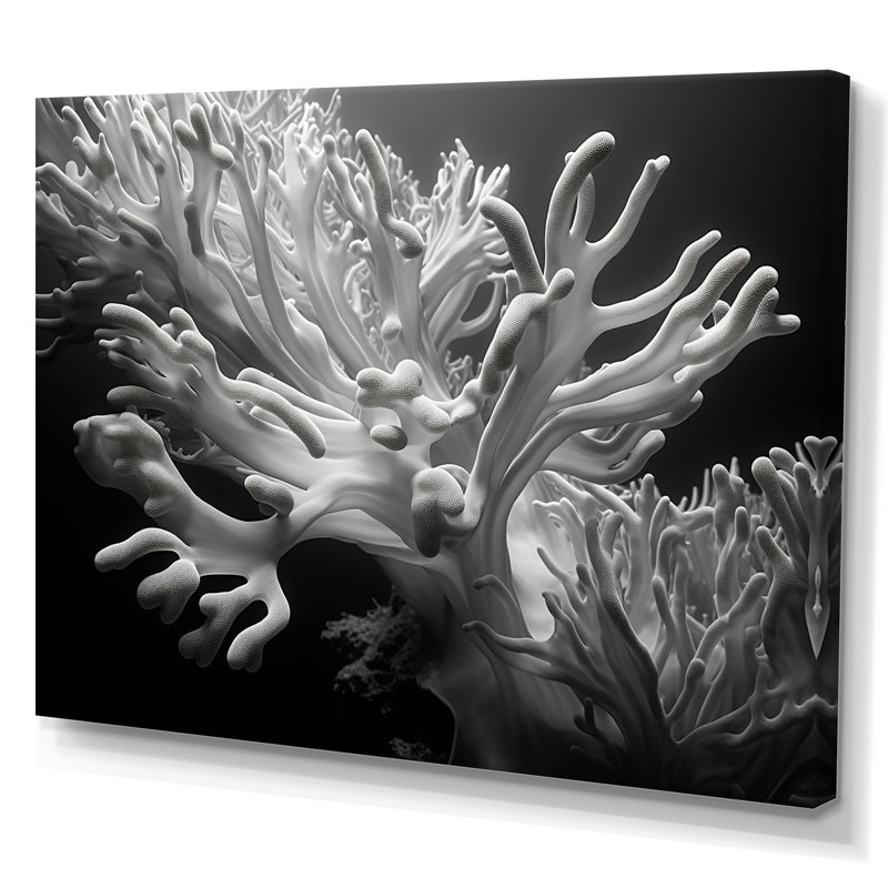 «Black and White Anemoner Color IV», reproduction d'art sur toile, H 12 po x l 20 po, Toile tendue