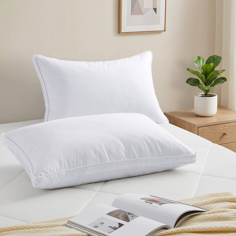 Ensemble de 2 oreillers en plumes d'oie grise avec housse 100% coton, Standard