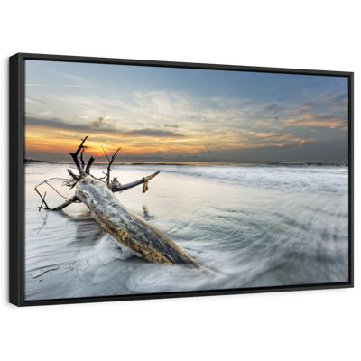 Plage «Hilton Beach Driftwood»