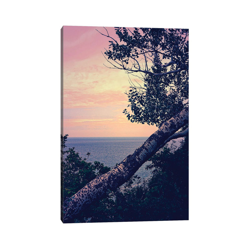 Birch at the Overlook 1 Piece Wrapped Canvas Wall Art, 30.48cm H x 20.32cm W x 1.905cm D