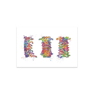 Impression de colonne cervicale sur verre acrylique