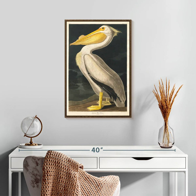 Pélican d'Amérique des oiseaux d'Amérique, 17" x 25", Floating Frame Walnut