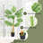 47" Faux Eucalyptus Plant in Planter