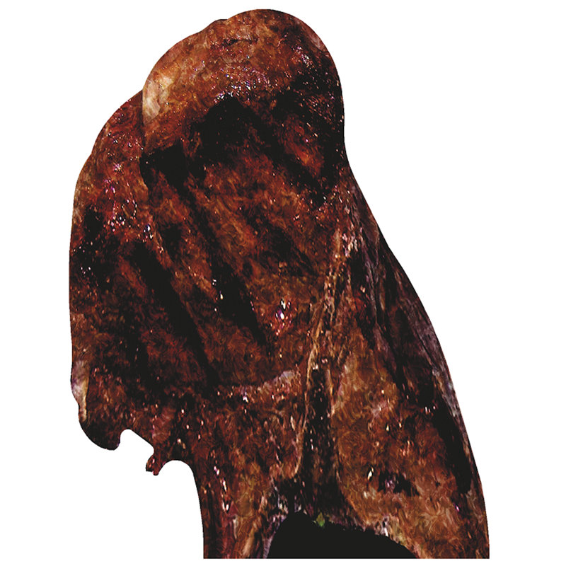 T-Bone Standup