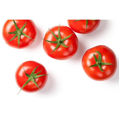 Fresh Tomatoes. by Bozena_Fulawka - Wrapped Canvas Print