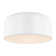 Malone 1 - Light Flush Mount