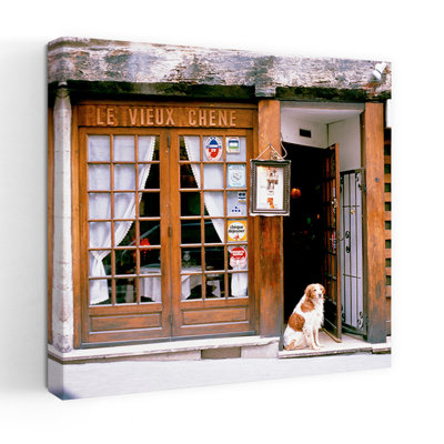 Entrance Paris France Dog Architecture Art