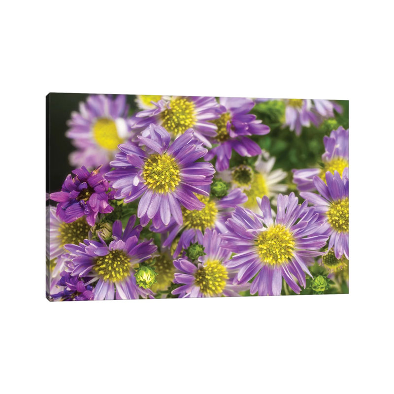 Purple Flowers in the Garden 1 Piece Wrapped Canvas Wall Art, 30.48cm H x 45.72cm W x 1.9cm D