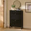 12 Pair Shoe Storage Cabinet