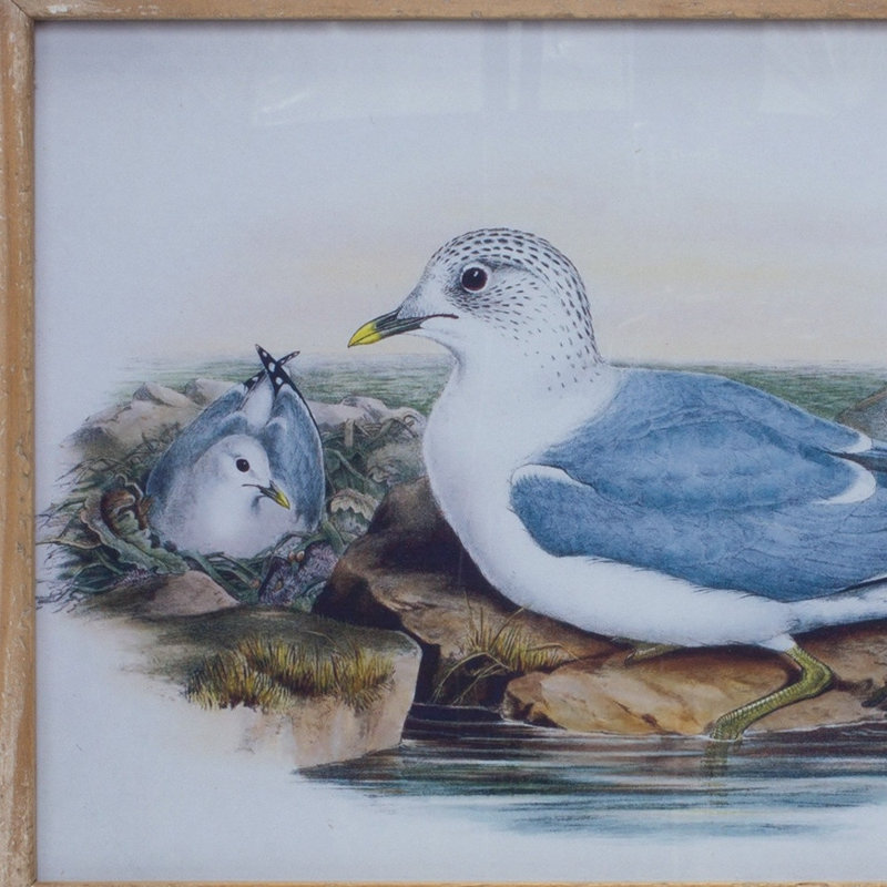 Décoration murale oiseau bleu en bois massif