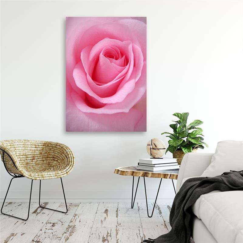 Leinwandbild Rose Flower Plant Pink