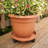 Ketzaly Pot Planter-1368620234-1368620236