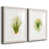 White Framed Paper