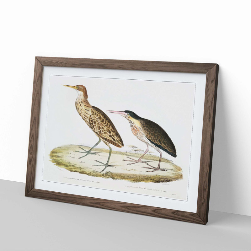 Two Herons by John Edward Gray - Picture Frame Painting Print, Walnut Framed, 27cm H x 36cm W x 2cm D