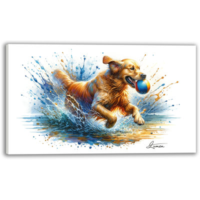 " Splash And Fetch "