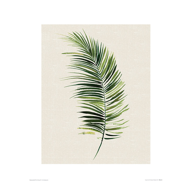 Summer Thornton - No Frame Painting