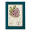 Cactus antique III, impression sur papier-881012499-881012501