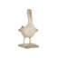 Lonely Albatross Sculpture