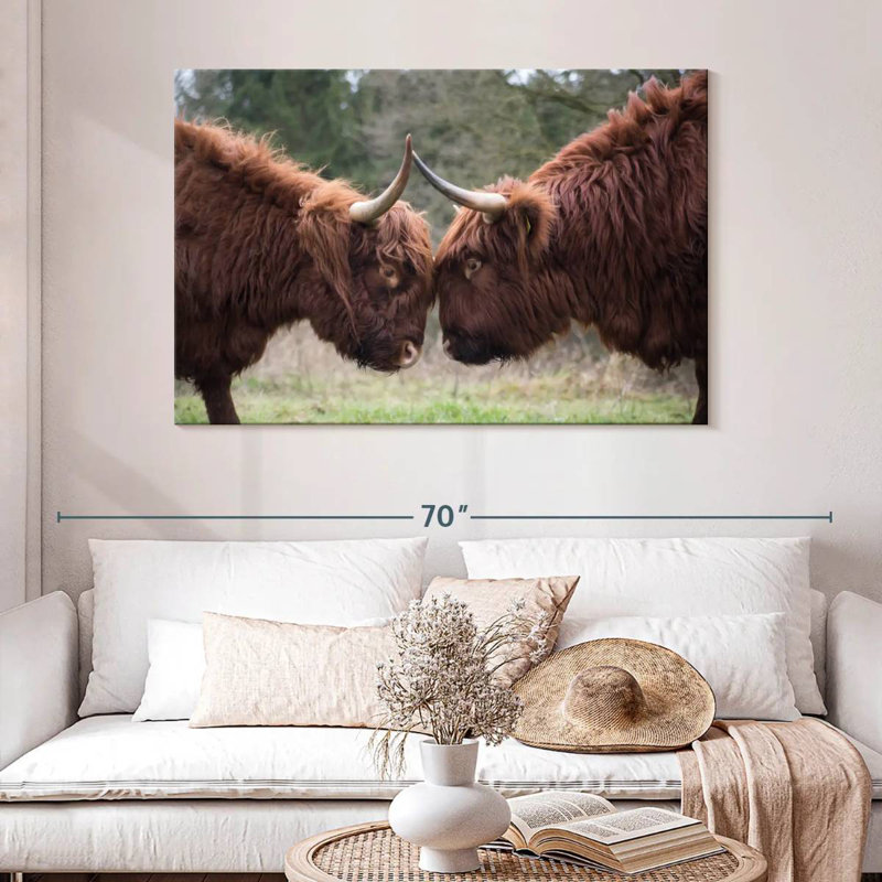 Brampt Highland Cow Clash, 32" H x 48" W