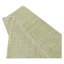 Area Rug in Beige