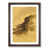 Walnut Framed