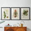 Elegant Tropicals III - Impression sur mesure encadrée de qualité supérieure - 3 pièces