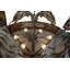 Rustic Lodge 6 - Light Chandelier