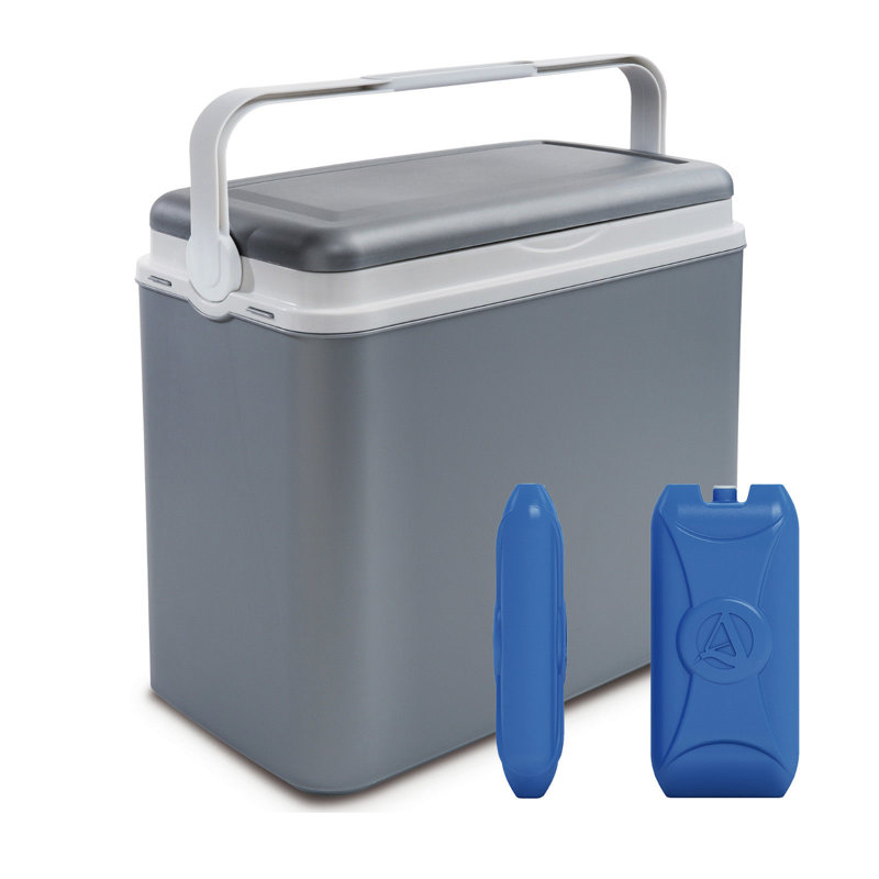 Wayfair Basics™ 24L Handheld Cooler, Grey