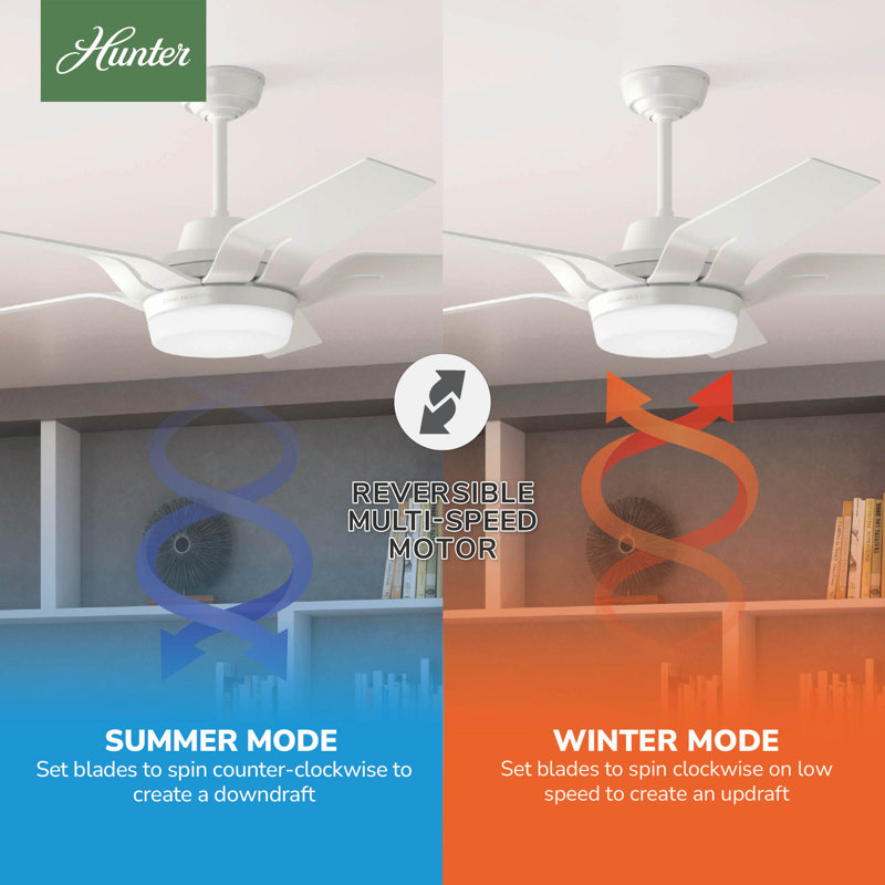 56" Correne 5 - Blade LED Standard Ceiling Fan with Remote Control and Light Kit Included, White