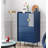 Geric Accent Cabinet-1536104711