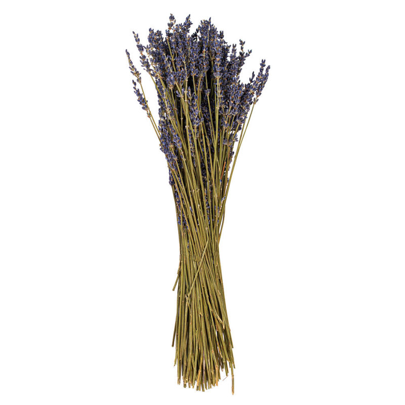 18" Dried Light Purple Dried Lavender 3.5 oz. Bunch. This is a natural product, dimensions and color may vary plant to plant.