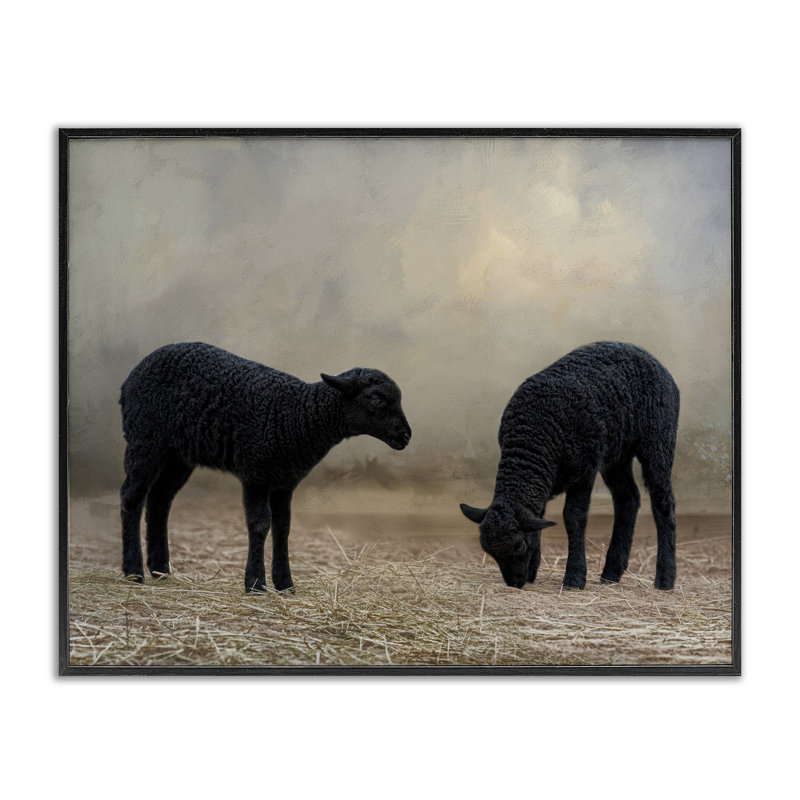 Art de giclée de mouton noir par Kelley Parker, Giclée encadrée noir minuit, H 11 po x l 14 po