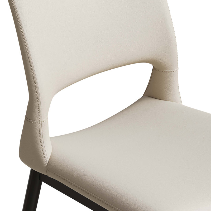 Ensemble de deux chaises de salle à manger confortables et robustes avec conception ergonomique, support de pieds en métal pour espaces multiples