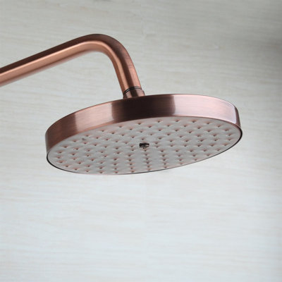 Pomme de douche pour salle de bain 8 po BathSelect