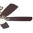 Cooksville 56'' Ceiling Fan with LED Lights-1440502494
