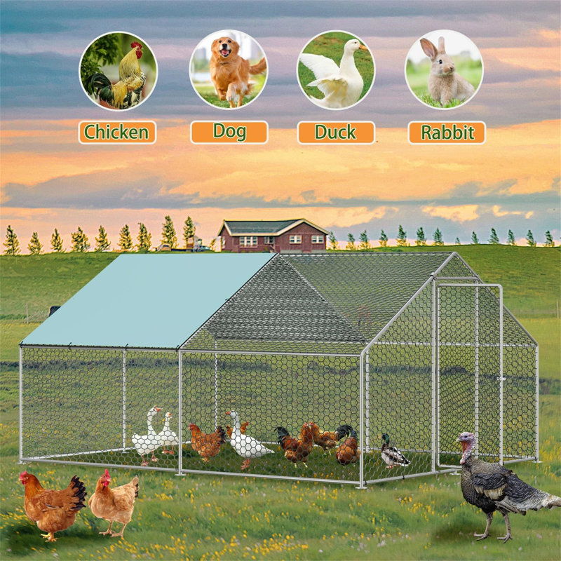  Poulailler Tucker Murphy Pet ™ - grillage, pour 10 poulets, avec couvercle, H 76,8 po x l 118 po x P 157,5 po