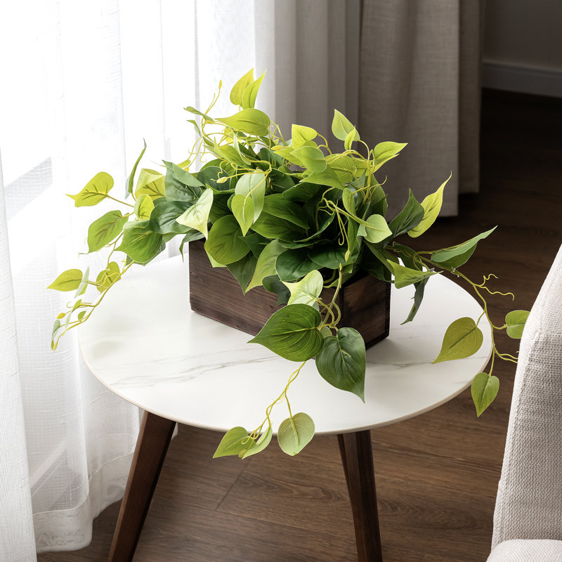 Faux plantes de vigne dans une boîte en bois de verdure