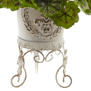 Primrue Geranium with Metal Planter UV Resistant (Indoor/Outdoor ...