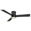 Ceiling Fans With Lights