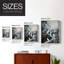 ANIMALS Series XI Framed Print - Solid Wood-386601068