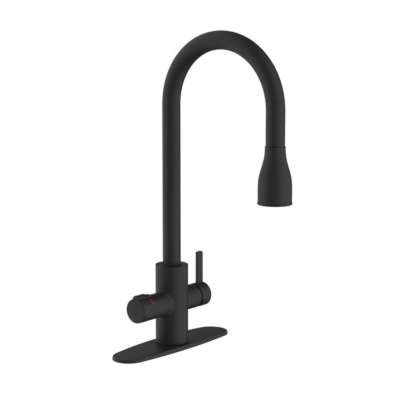 Robinet de cuisine à poignée simple HotMaster 4-en-1, Noir mat