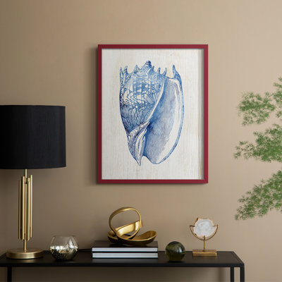 Shell II Framed Print - Solid Wood