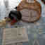 Photos des clients 1 de 1